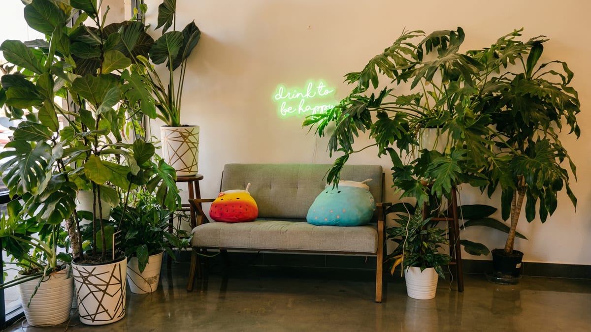 The space
