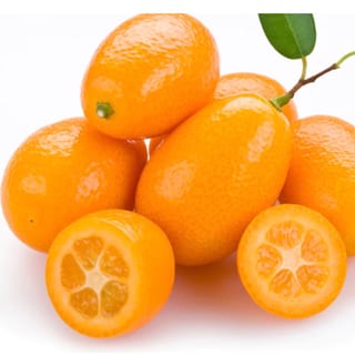 Kumquat Bliss