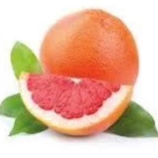 Grapefruit Paradise